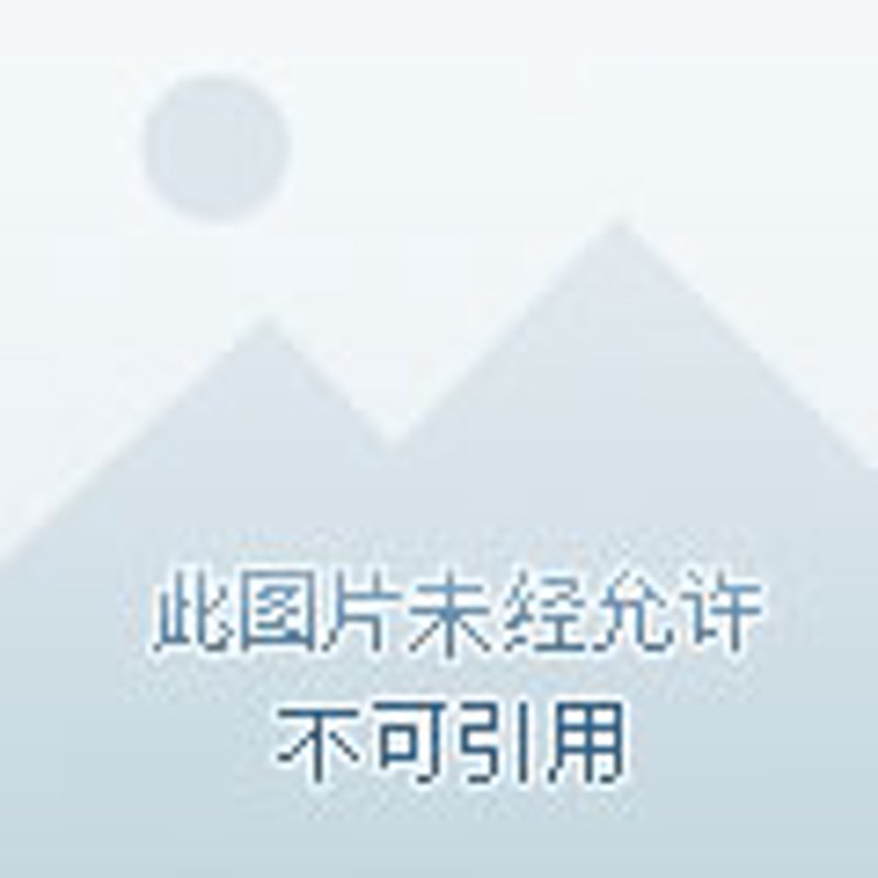 选购指南：如何轻松找到优质保定面粉批发